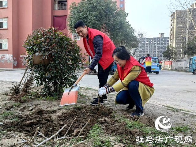 駐馬店市郵政分公司團委組織開展植樹活動