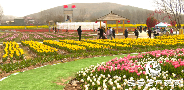 遂平縣：嵖岈山溫泉小鎮(zhèn)郁金香文化園開園