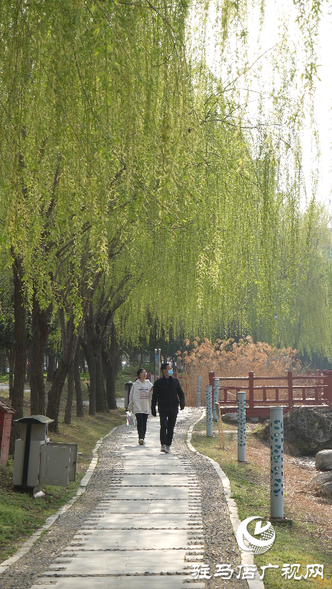 春日綻放：黃淮校園里的新生機