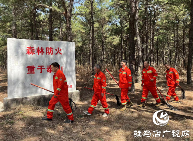 國有泌陽縣板橋林場：落實(shí)上級(jí)安排部署 全力構(gòu)建森防安全屏障