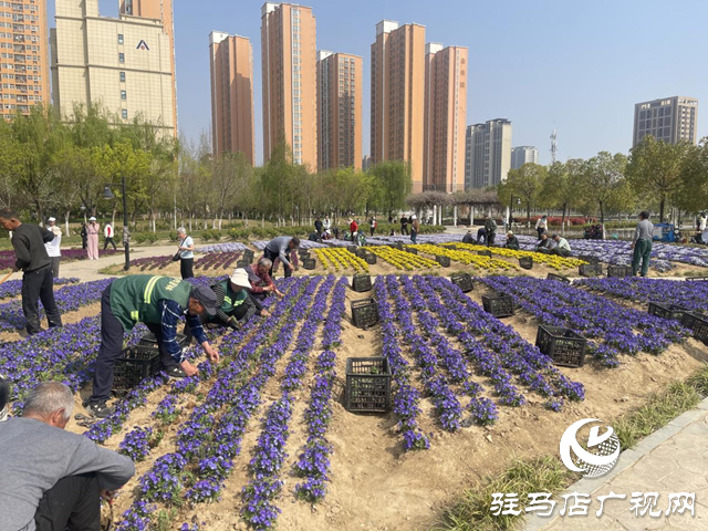 駐馬店開源公園換“新裝” 賞花又有新亮點