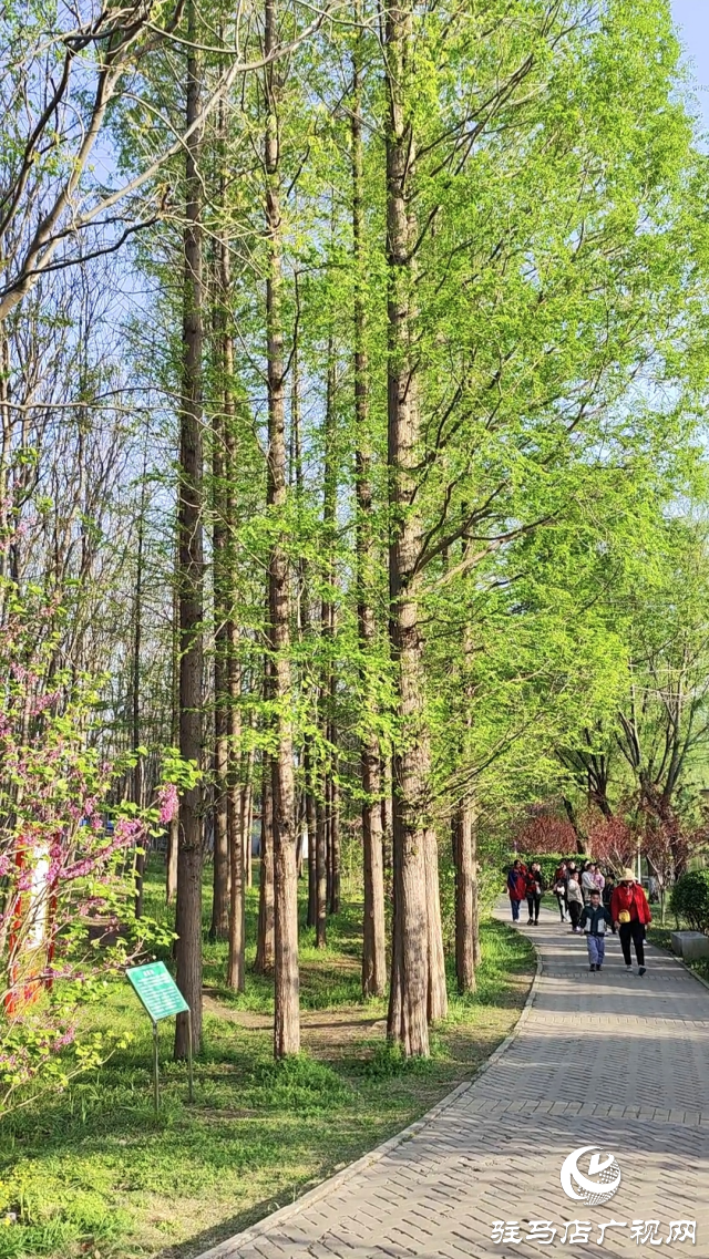 駐馬店：置地公園環(huán)境美如畫 市民愜意休閑園中游