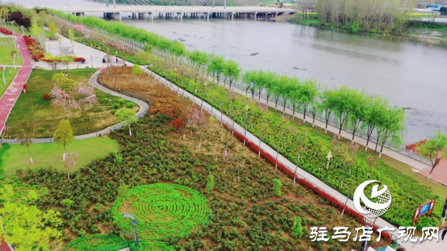 泌陽縣：菌都公園春意濃 市民健身樂無窮