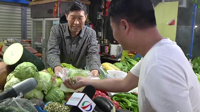 駐馬店：新鮮槐花大量上市 市民爭(zhēng)相購買嘗鮮