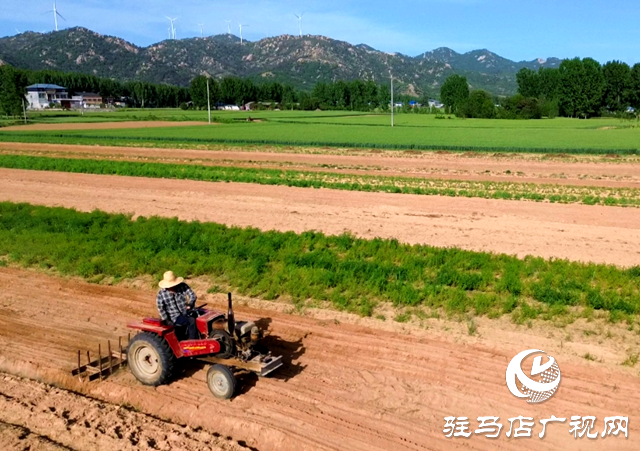 泌陽(yáng)縣黃山口鄉(xiāng)：搶抓好時(shí)節(jié) 田間播種忙