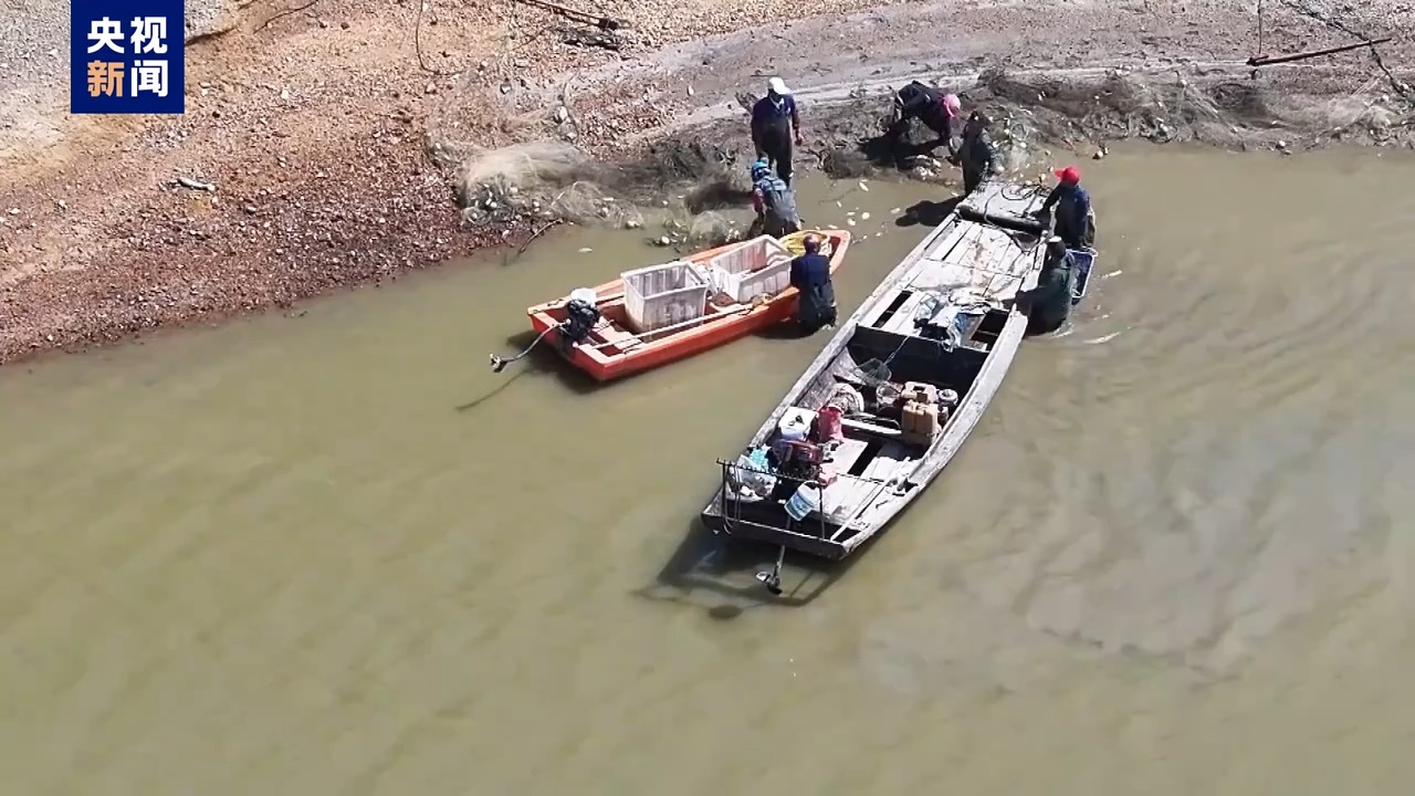 毀林種咖啡、江豚慘死 中央生態(tài)環(huán)保督察通報七地典型案例