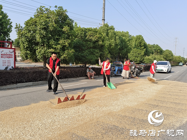 駐馬店經(jīng)濟(jì)開發(fā)區(qū)賈莊居委會成立“三夏”生產(chǎn)服務(wù)應(yīng)急小分隊(duì)幫助群眾收麥