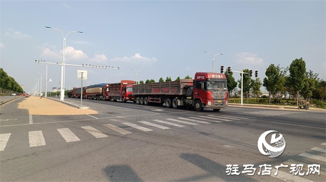 駐馬店這條道路交通標線設置與車流量不符！亟待有關(guān)部門解決