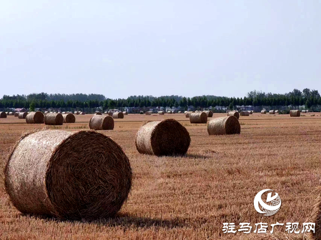 確山縣雙河鎮(zhèn)： “生態(tài)包袱”變?yōu)?ldquo;綠色財(cái)富”