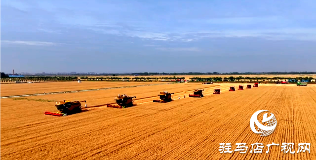 駐馬店市農(nóng)機部門采用多種舉措 確保打響打贏麥收保衛(wèi)戰(zhàn)