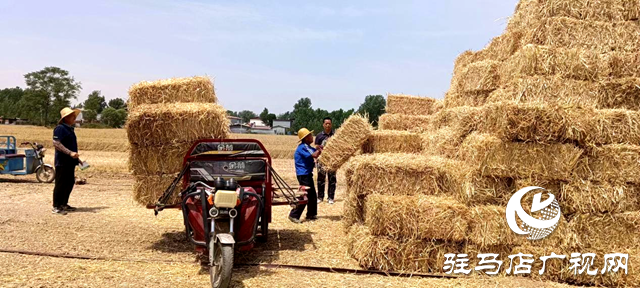 平輿縣李屯鎮(zhèn)：秸稈打捆離田 實(shí)現(xiàn)“變廢為寶”