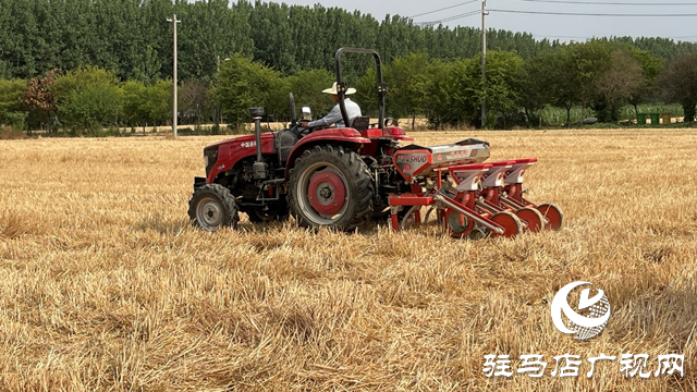 驛城區(qū)華夏種植合作社：不誤農(nóng)時搶種保秋收