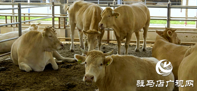 駐馬店市動物疫病防疫檢疫中心發(fā)布6月份疫病預警預報信息