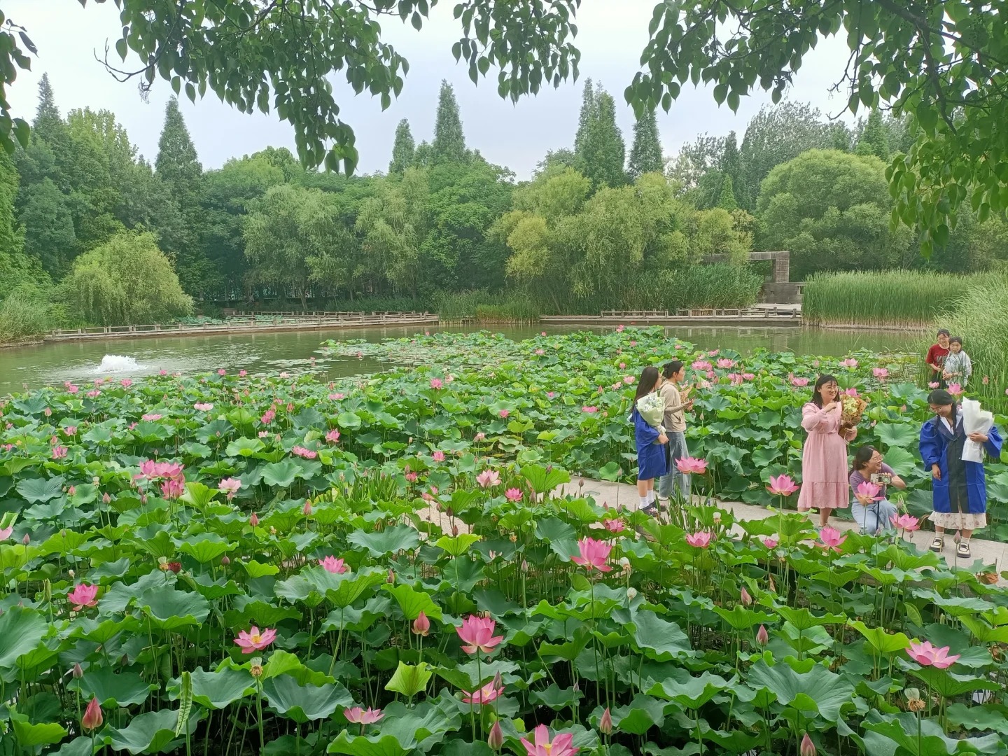 夏至丨萬物盛極時 美好伴夏生