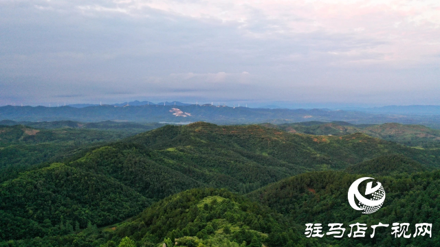 【家在天中】盤嵐朝起添秀色 美麗泌陽(yáng)盤古山