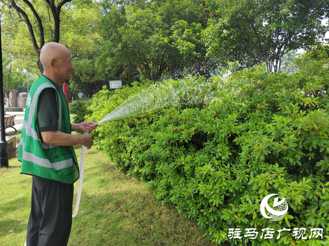 園林工人高溫堅守 用汗水澆灌“綠蔭”