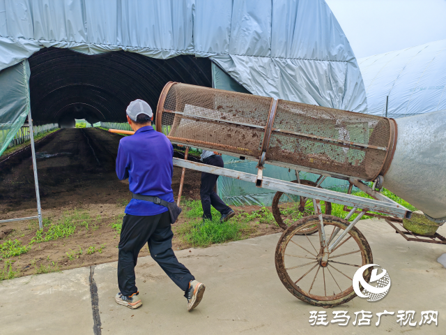 平輿縣辛店鄉(xiāng)黃寨村：蚯蚓養(yǎng)殖“蚓”出致富新路子