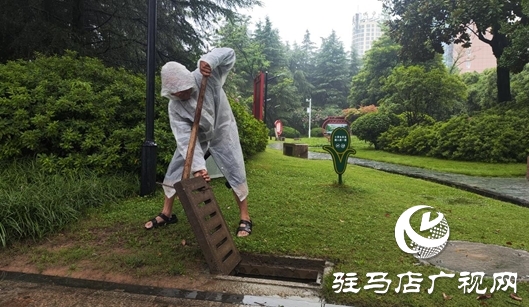 市園林綠化中心多舉措筑牢防汛安全屏障 守護(hù)城市綠色與安全