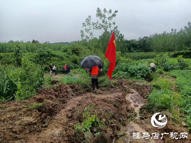 【防汛一線】確山縣石滾河鎮(zhèn)：防汛一線黨旗紅  守土盡責顯擔當