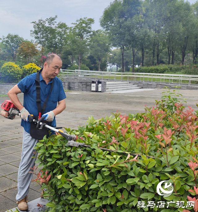 駐馬店：炎炎夏日草木長(zhǎng) 園林綠化養(yǎng)護(hù)忙