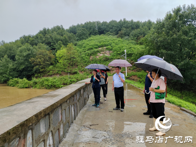 【防汛一線】確山縣石滾河鎮(zhèn)：防汛一線黨旗紅  守土盡責顯擔當