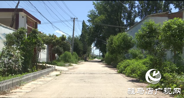 驛城區(qū)胡廟鄉(xiāng)王莊村：“較真”村支書(shū)讓村里大變樣