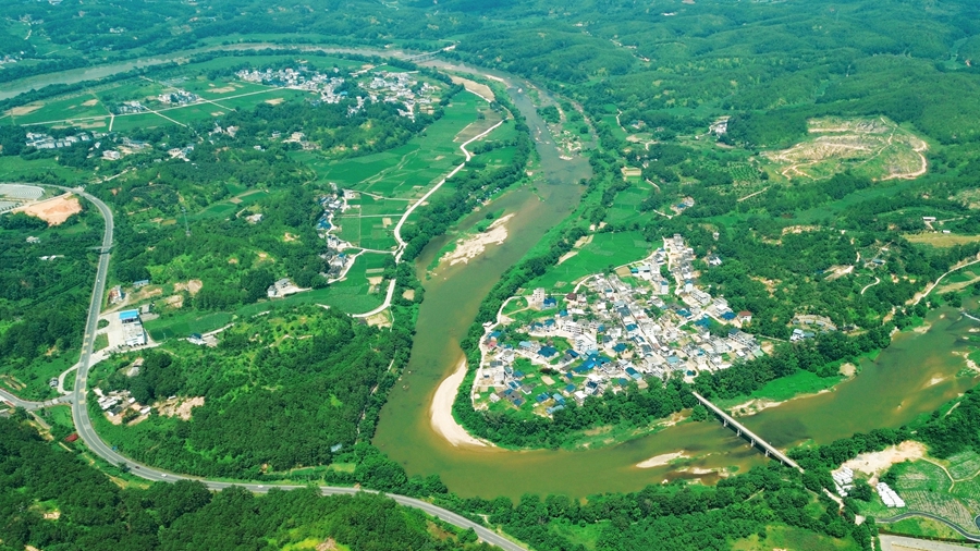 學習進行時丨“綠水青山就是金山銀山”——習近平推動生態(tài)環(huán)境保護的故事