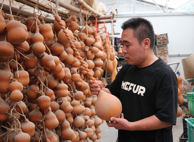 趙廣：葫蘆之上繪就精彩人生