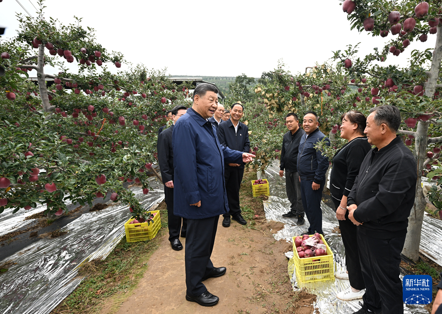 習(xí)近平在甘肅考察時(shí)強(qiáng)調(diào) 深化改革勇于創(chuàng)新苦干實(shí)干富民興隴 奮力譜寫(xiě)中國(guó)式現(xiàn)代化甘肅篇章