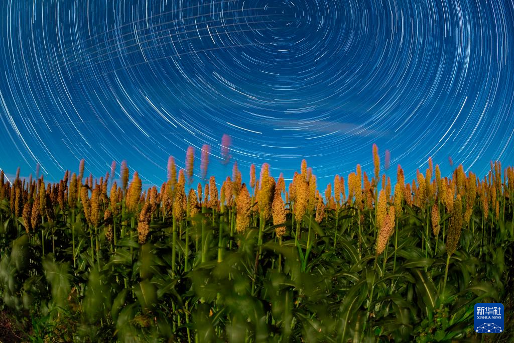 豐收田野“約會(huì)”浪漫星空