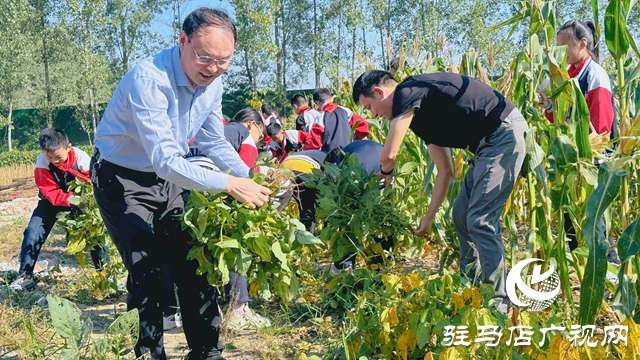 體驗豐收快樂 收獲成長果實