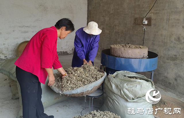 【天中光榮榜】張小紅：把小艾草做成守護群眾健康的“生命草”