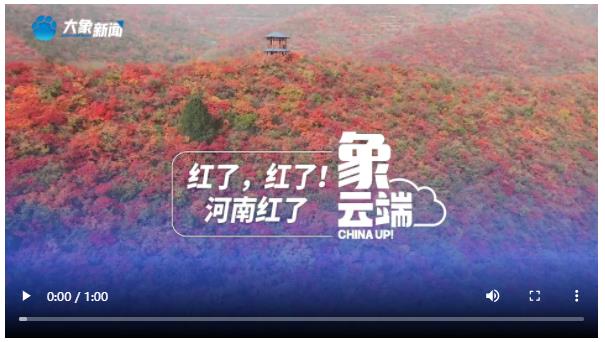 紅了，紅了！河南紅了|象云端