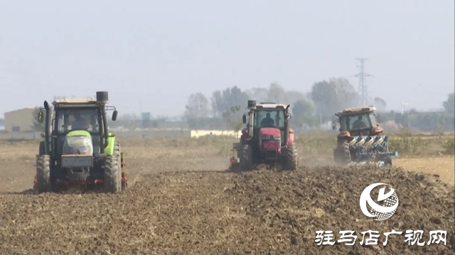 上蔡縣：高質量推進冬小麥播種  確保小麥大面積單產提升