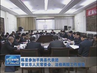 陳星參加平輿代表團(tuán)審議市人大常委會、法檢兩院工作報(bào)告（視頻）